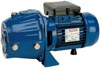 APM 75